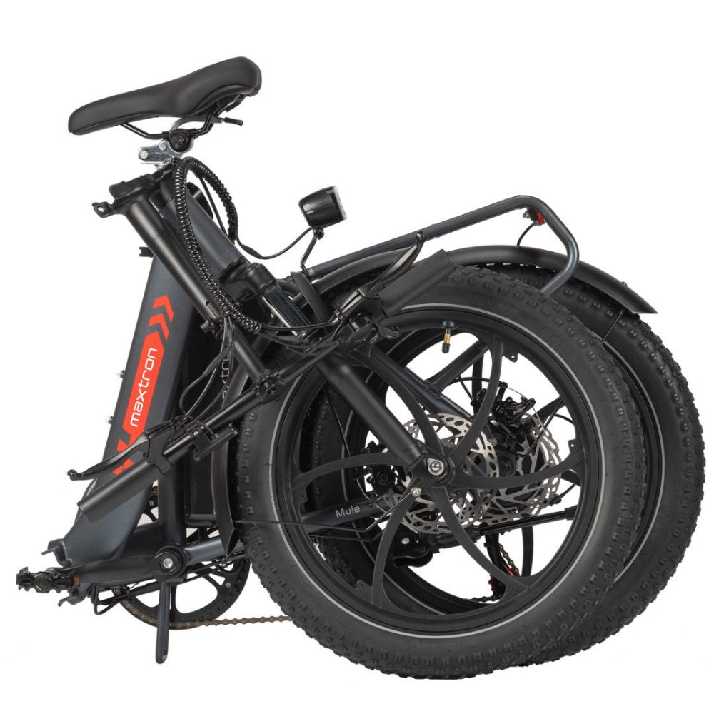 Mule