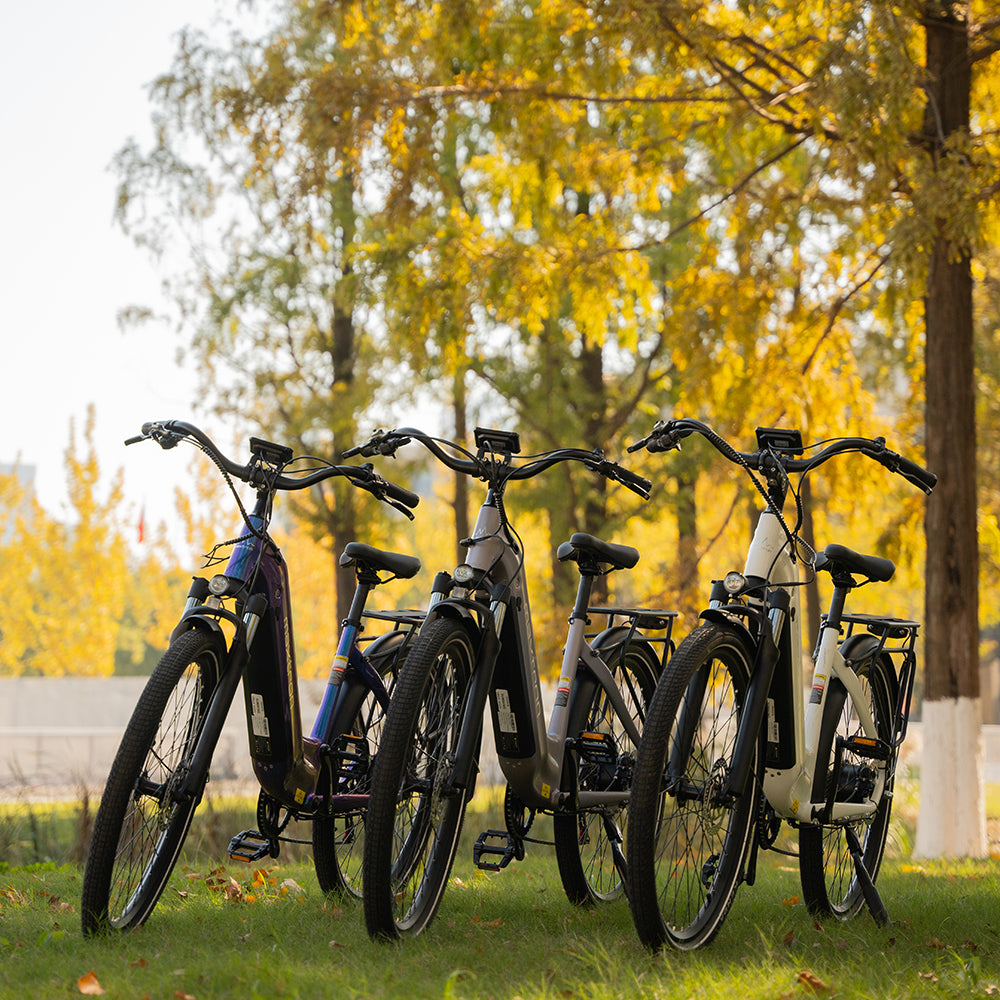 Cityrad OT05 E-Bike Damen Herren 28 Zoll | 120 km, 655 Wh, 7-Gang Shimano