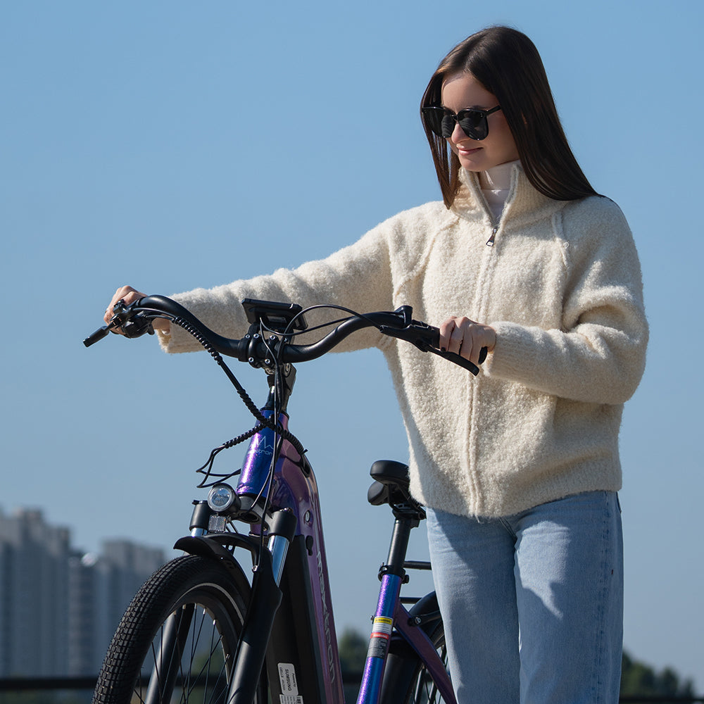 Cityrad OT05 E-Bike Damen Herren 28 Zoll | 120 km, 655 Wh, 7-Gang Shimano